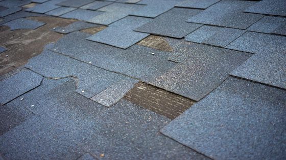 image shows damaged roof shingles